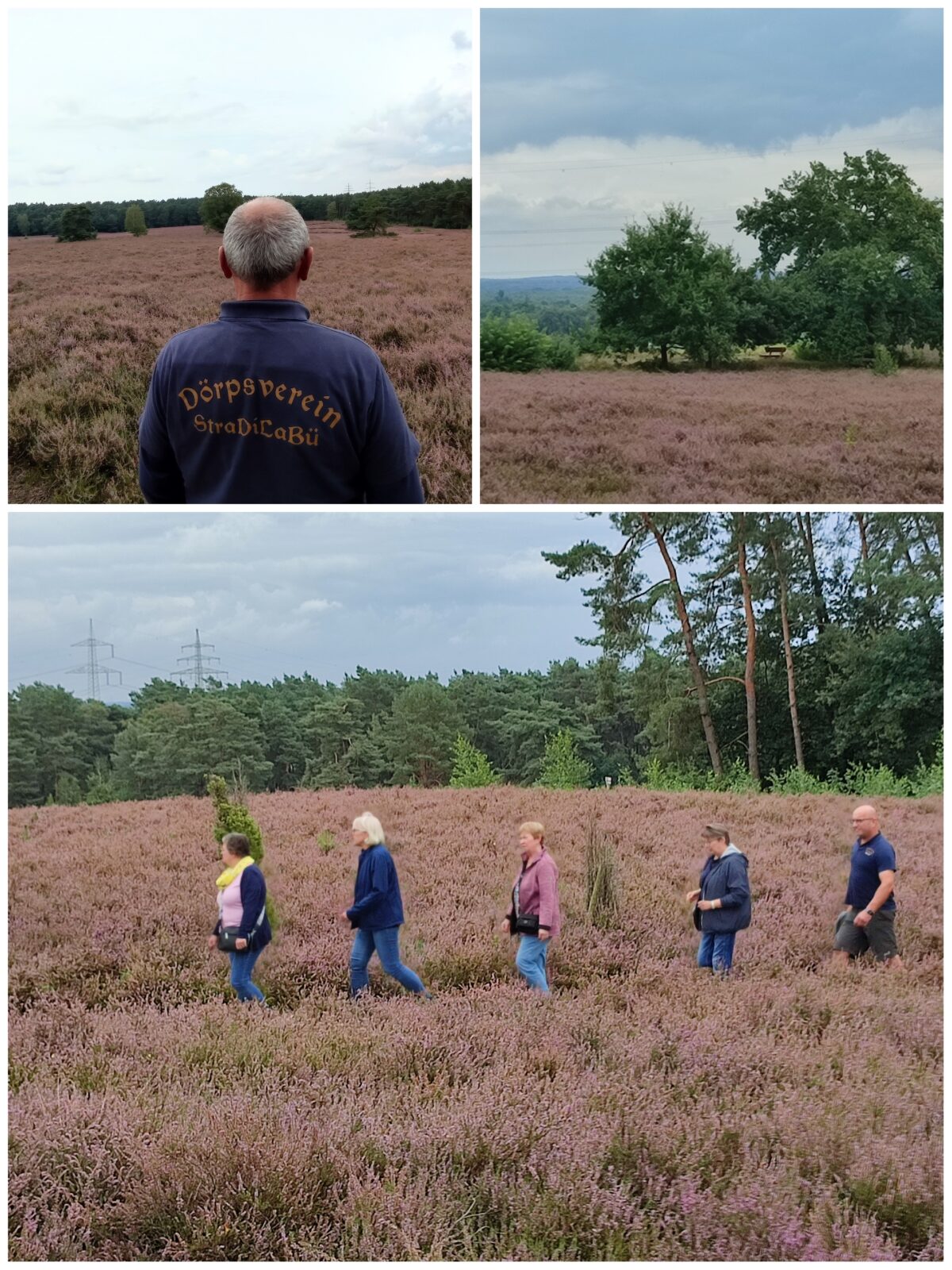 Fahrradtour in die Kuppendorfer Heide