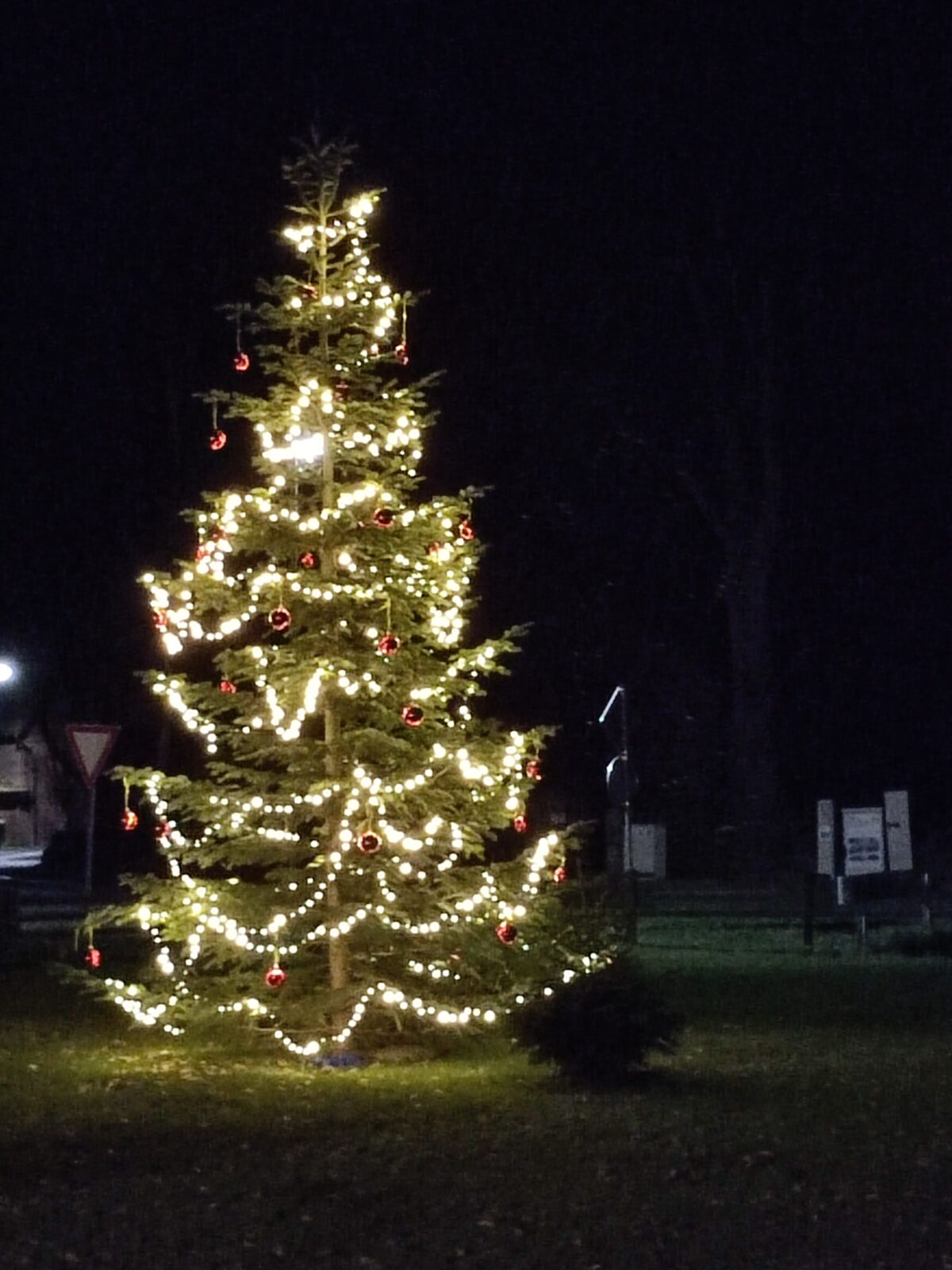 Gemütlichkeit am Tannenbaum mit Andacht